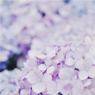 展会预告 | 西克视觉，深度视界...